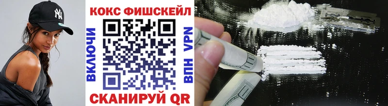 COCAIN Эквадор Богданович