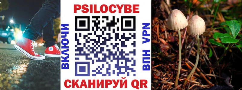 Псилоцибиновые грибы GOLDEN TEACHER  наркота  Богданович 